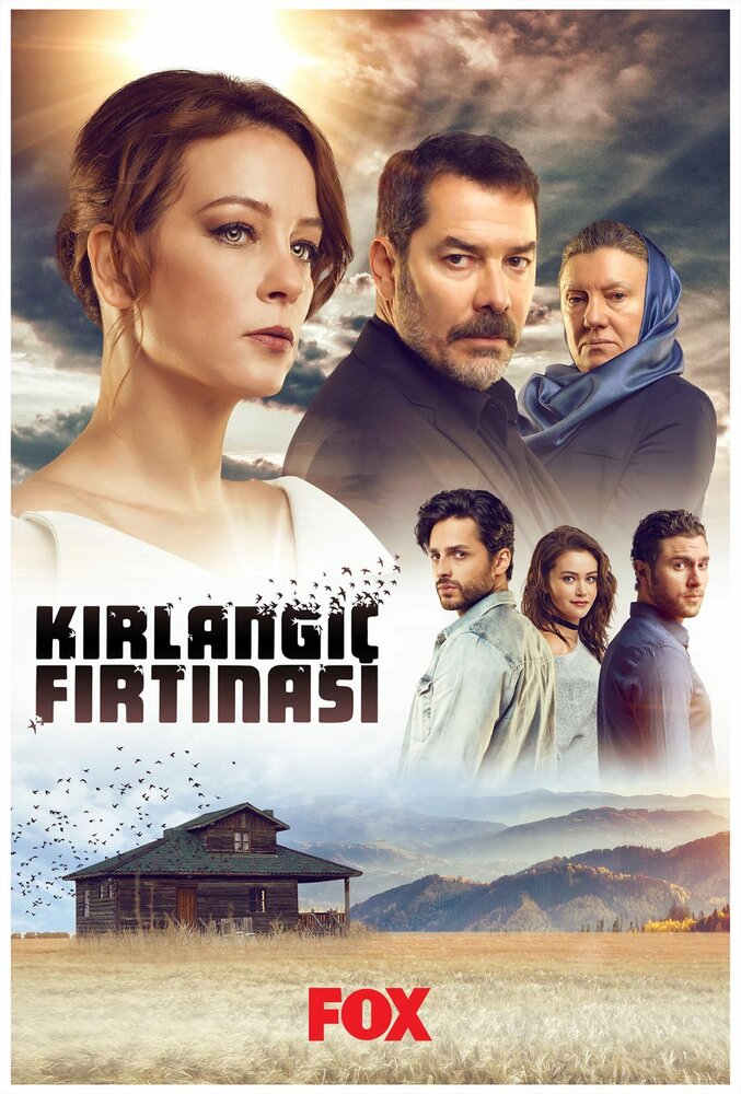 Постер для сериала Шторм ласточки