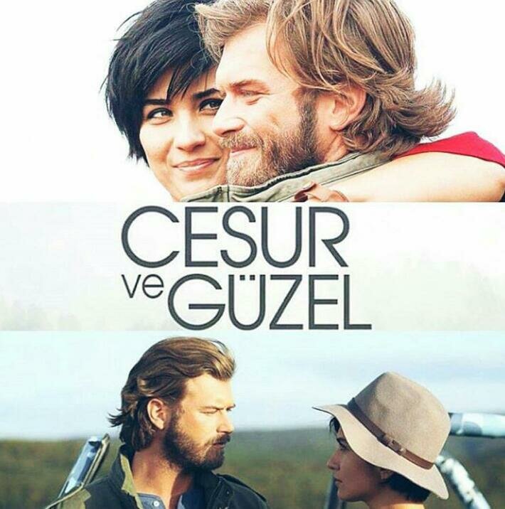 Постер для сериала Отважный и красавица