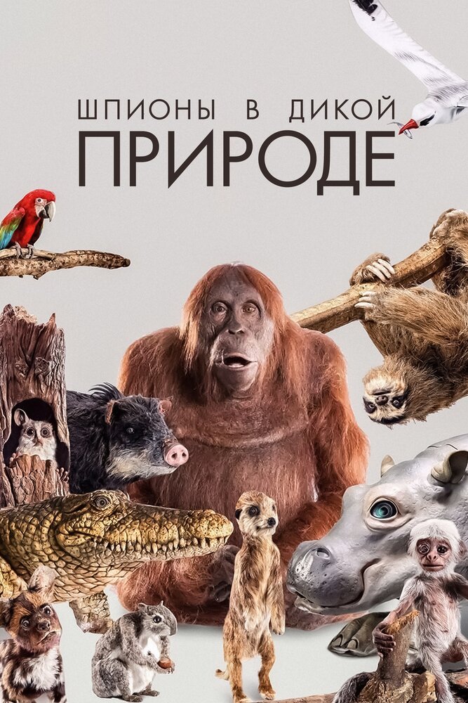 Постер для Шпионы в дикой природе