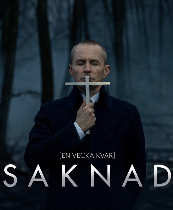 Постер для сериала Пропавшая